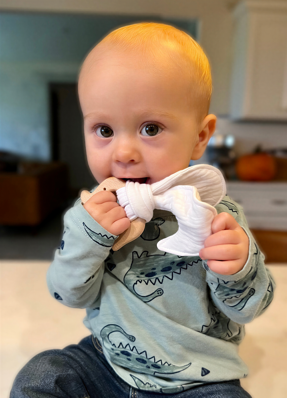 A baby wearing a dinosaur shirt is sitting on the floor and chewing on a white object, which appears to be a teething toy.